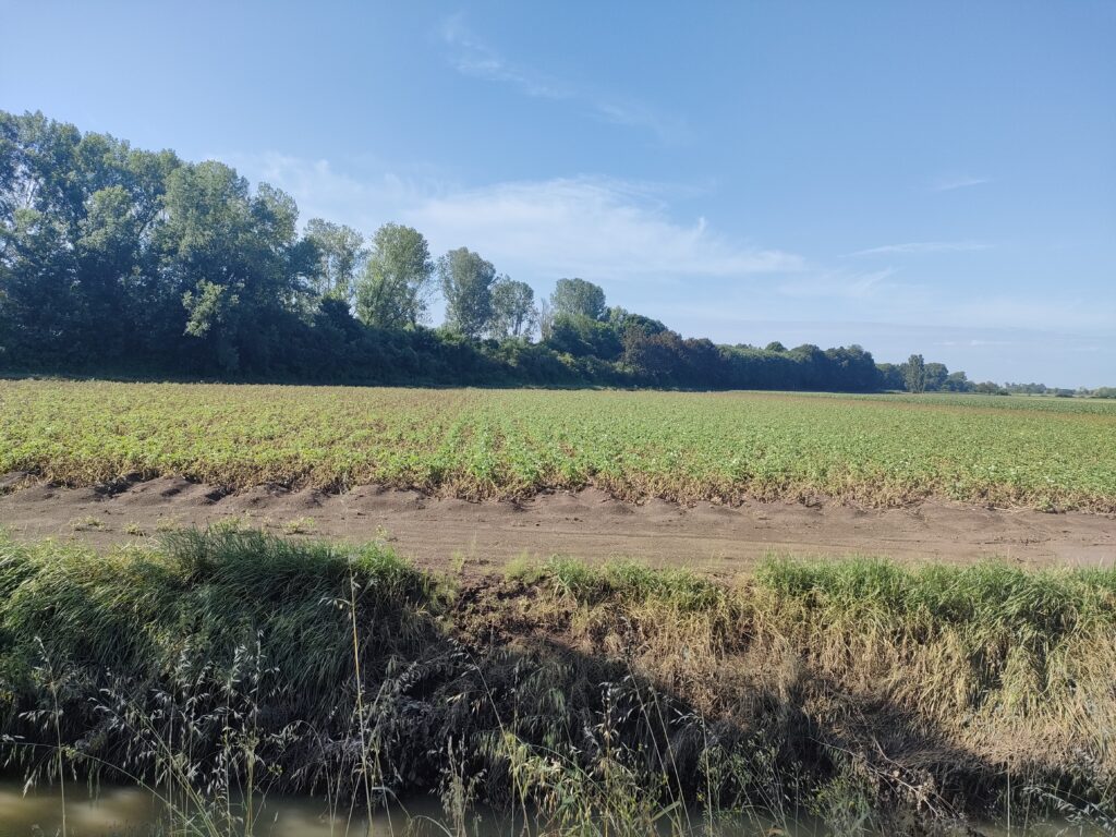 AGRIPAT in Veneto e Friuli Venezia Giulia dopo le alluvioni