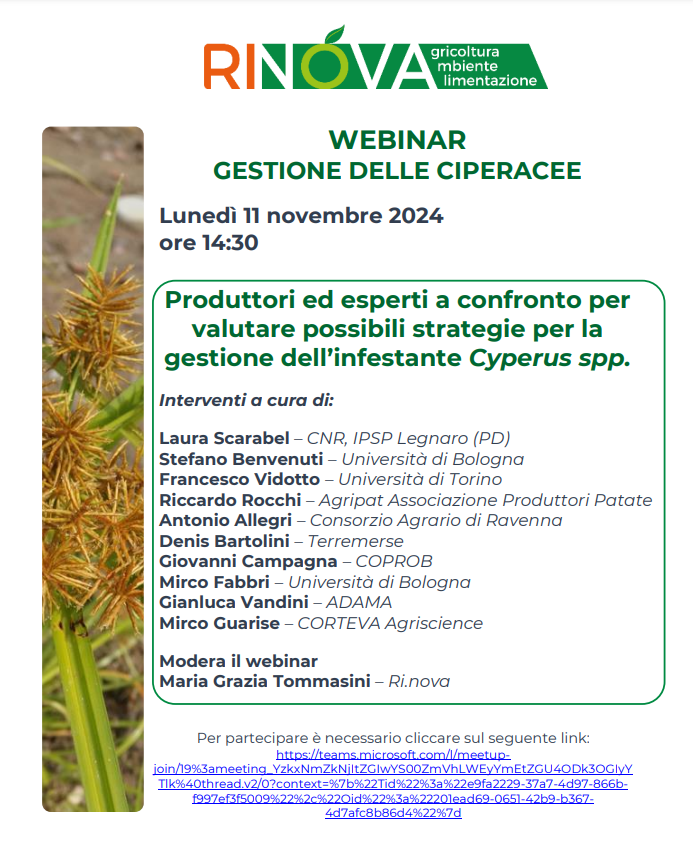 Webinar sulla gestione delle ciperacee